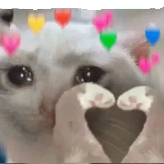 🥺 emoji [ ɪᴛs ᴍᴇ ] 🇵𝐫𝐚𝐧𝐚𝐯 🇬𝐩 ✨🕊️🇮🇳 @The_smashkid — @stckrRobot Telegram sticker 8 of 84