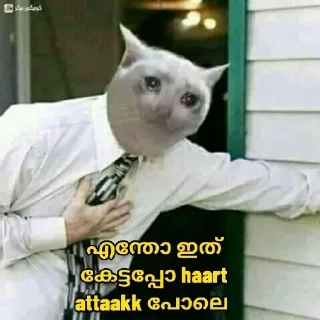 😂 emoji [ ɪᴛs ᴍᴇ ] 🇵𝐫𝐚𝐧𝐚𝐯 🇬𝐩 ✨🕊️🇮🇳 @The_smashkid — @stckrRobot Telegram sticker 15 of 84