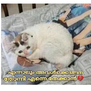 😔 emoji [ ɪᴛs ᴍᴇ ] 🇵𝐫𝐚𝐧𝐚𝐯 🇬𝐩 ✨🕊️🇮🇳 @The_smashkid — @stckrRobot Telegram sticker 20 of 84
