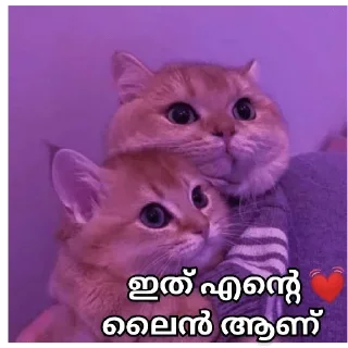 🤓 emoji [ ɪᴛs ᴍᴇ ] 🇵𝐫𝐚𝐧𝐚𝐯 🇬𝐩 ✨🕊️🇮🇳 @The_smashkid — @stckrRobot Telegram sticker 3 of 84