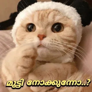 😁 emoji [ ɪᴛs ᴍᴇ ] 🇵𝐫𝐚𝐧𝐚𝐯 🇬𝐩 ✨🕊️🇮🇳 @The_smashkid — @stckrRobot Telegram sticker 9 of 84