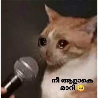 🥺 emoji [ ɪᴛs ᴍᴇ ] 🇵𝐫𝐚𝐧𝐚𝐯 🇬𝐩 ✨🕊️🇮🇳 @The_smashkid — @stckrRobot Telegram sticker 16 of 84