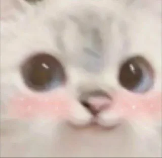 🤭 emoji rndom Telegram sticker 24 of 40
