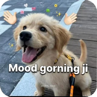 🐶 emoji Badmosh pack Telegram sticker 15 of 43