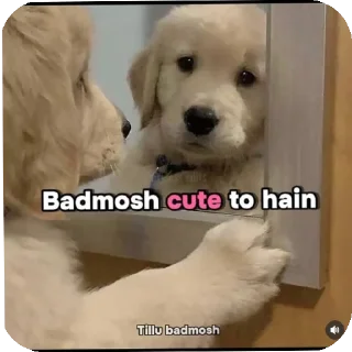 🐶 emoji Badmosh pack Telegram sticker 6 of 43