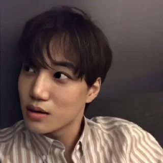 🐻 emoji Kai EXO @PJUT0V96 Telegram sticker 19 of 33