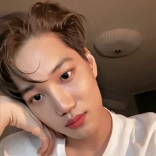 🐻 emoji Kai EXO @PJUT0V96 Telegram sticker 8 of 33