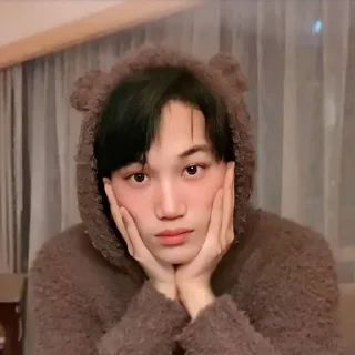 🐻 emoji Kai EXO @PJUT0V96 Telegram sticker 21 of 33