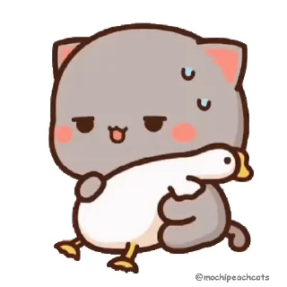 🏵 emoji @Cleverfoxsixtynine's Pack 1 (Video) Telegram sticker 18 of 24