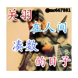 Sticker from 关羽摆烂笔记 @mc667881