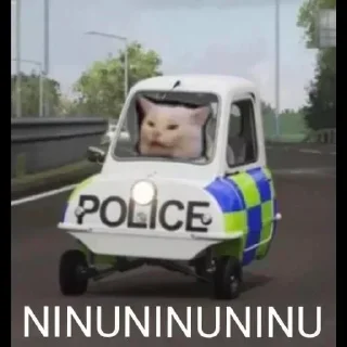 👮‍♂️ emoji ⸙「 ɪᴛ's ᴍᴇ 𒆜 Aʙɪsʜɴᴏɪ 」🥀s kang pack 1 Telegram sticker 6 of 120
