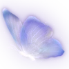 🦋 emoji мαнι'ѕ ρяємιυм ємσנι!!! @TgEmojis_bot Telegram sticker 4 of 138