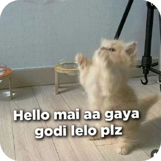 Sticker from Amit ka pack @Ur_amit_01