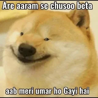 🤔 emoji Cheems Meme 🌸  BY @stickersbag Telegram sticker 21 of 116