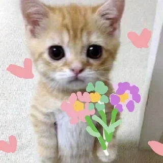 💋 emoji clairine's @neichanny pack by @QuotLyBot Telegram sticker 1 of 120