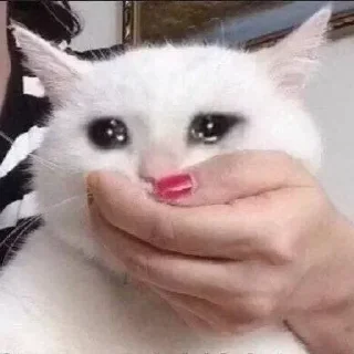 😩 emoji Mei Misakis kang pack Telegram sticker 17 of 62