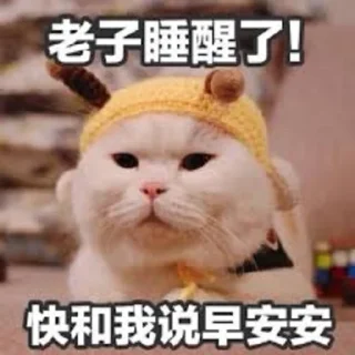 Sticker from meowww