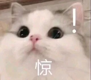 Sticker from meowww
