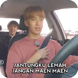 🚗 emoji punya rasya Telegram sticker 9 of 45