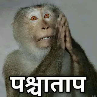 🙏 emoji Delusional Niggas kang pack Telegram sticker 24 of 62