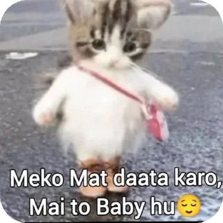 👍 emoji Paridhi ka pack!!! Telegram sticker 23 of 36