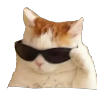 😎 emoji Nights kang pack Telegram sticker 18 of 47