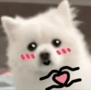 💸 emoji 𓂃࣪• ֶָ❛𝚂 𝙲 𝙰 𝙽 𝙽 𝙴 𝚁𓆪ִֶ ™🪈 Telegram sticker 8 of 120