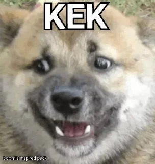 🤣 emoji Gᗩᗷᗷᗩᖇ's kang pack Telegram sticker 6 of 94