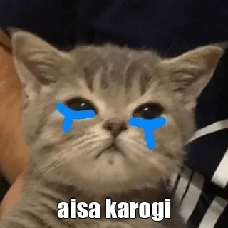 🙂 emoji @MBT_SASUKE @ANIME_HINDII_DUB Telegram sticker 10 of 22
