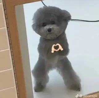 Sticker from Cute dog