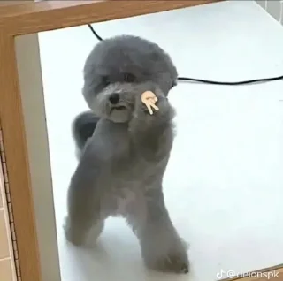 Sticker from Cute dog