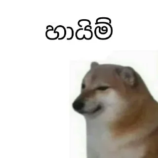 Sticker from Cheems Sinhala Version by @HARP_Tech 🇱🇰
