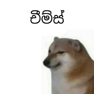 Sticker from Cheems Sinhala Version by @HARP_Tech 🇱🇰