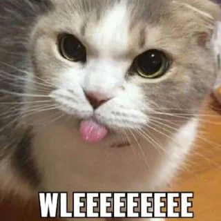 Sticker from cihuy