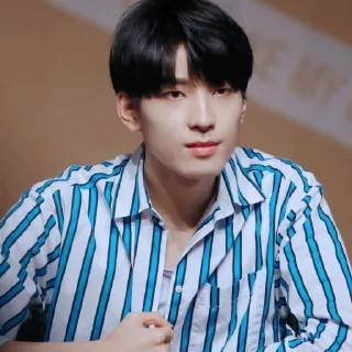 Sticker from Wonwoo by @gdboyy