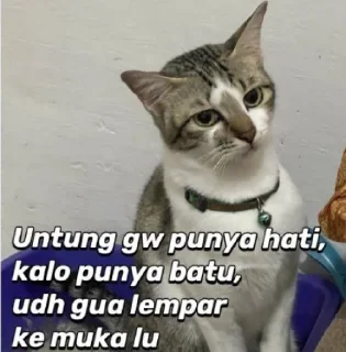 Sticker from Miaw
