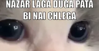 Sticker from Harjot singhs kang pack 2