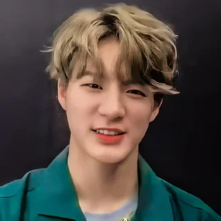 Sticker from @jaehyunisme as jeno
