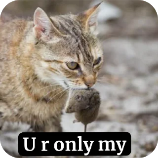 😀 emoji Save Telegram sticker 7 of 120