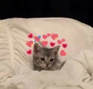😊 emoji Save 1.2 Telegram sticker 13 of 76