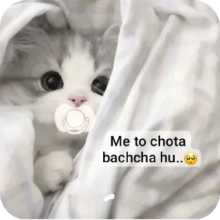 🐱 emoji Nahi pata 🌟 Telegram sticker 12 of 38
