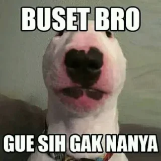 Sticker from Ha apa apa