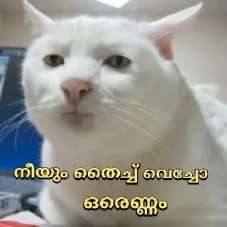 Sticker from Poocha ser