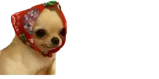🥺 emoji Bugu @BADDAsS_FUFA Telegram sticker 16 of 116