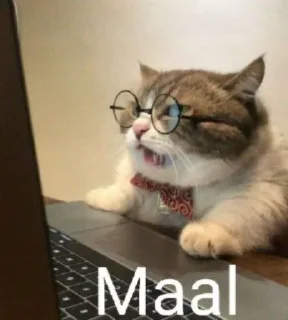 😍 emoji @MemesJokesR @RoastInPeace Telegram sticker 14 of 65