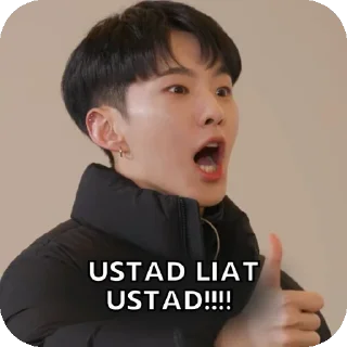 ✋ emoji svt 🎡 Telegram sticker 8 of 61