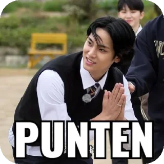 🙂 emoji svt 🎡 Telegram sticker 22 of 61