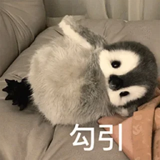 👯‍♀️ emoji YOMee企鵝 Telegram sticker 11 of 29