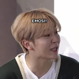 🤣 emoji meme svt gose - @HolOgraphc Telegram sticker 5 of 56