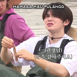 🤣 emoji meme svt gose - @HolOgraphc Telegram sticker 23 of 56